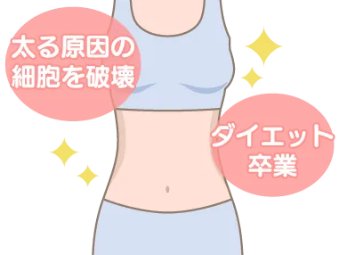 一般的なダイエット